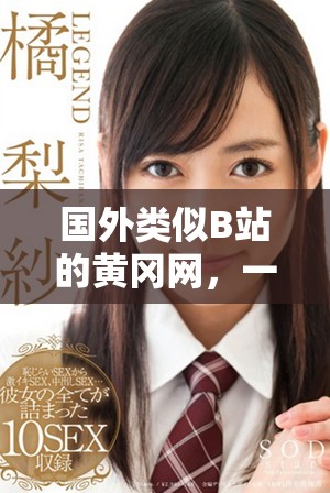 國外類似B站的黃岡網(wǎng)，一起來了解其特色與優(yōu)勢吧！