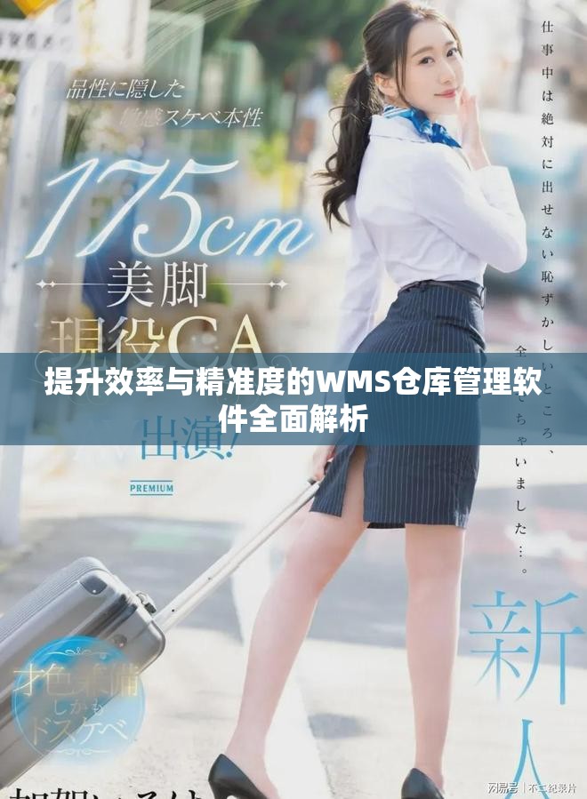 提升效率與精準(zhǔn)度的WMS倉(cāng)庫(kù)管理軟件全面解析