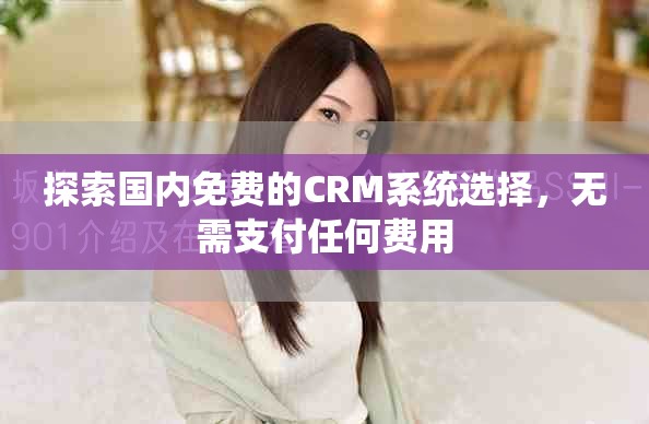 探索國內(nèi)免費的CRM系統(tǒng)選擇，無需支付任何費用