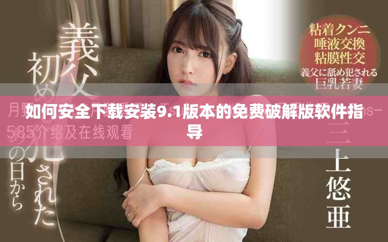 如何安全下載安裝9.1版本的免費(fèi)破解版軟件指導(dǎo)