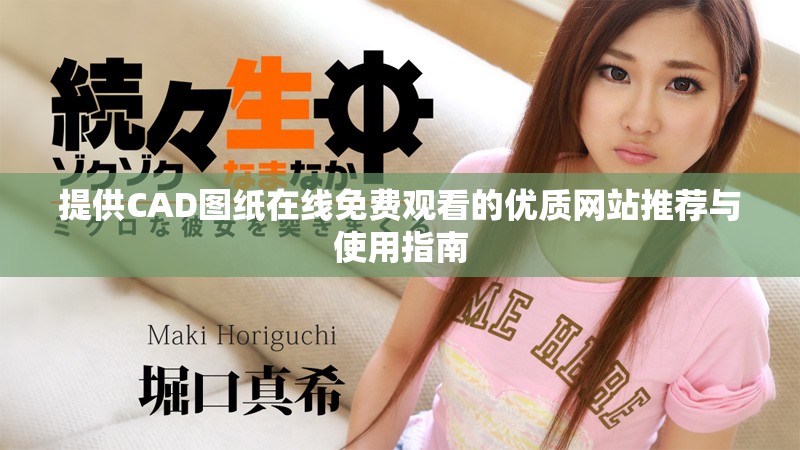 提供CAD圖紙在線免費(fèi)觀看的優(yōu)質(zhì)網(wǎng)站推薦與使用指南