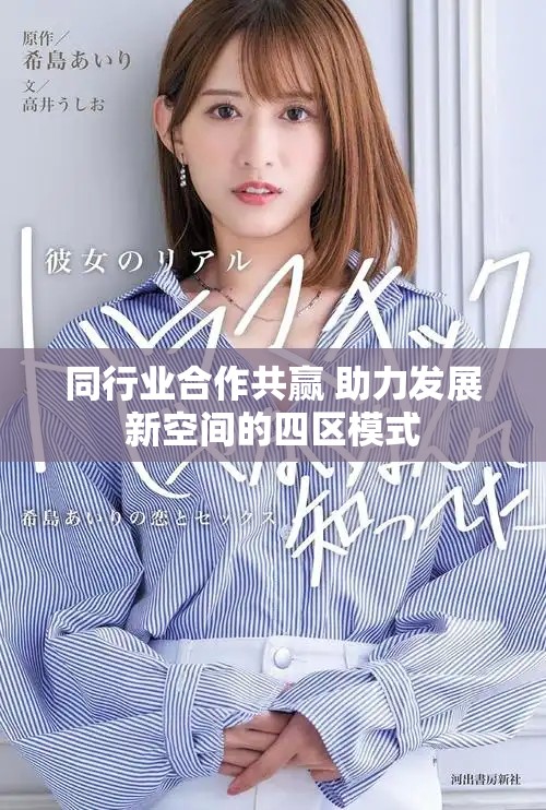 同行業(yè)合作共贏 助力發(fā)展新空間的四區(qū)模式