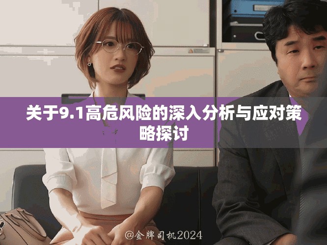 關(guān)于9.1高危風(fēng)險(xiǎn)的深入分析與應(yīng)對策略探討