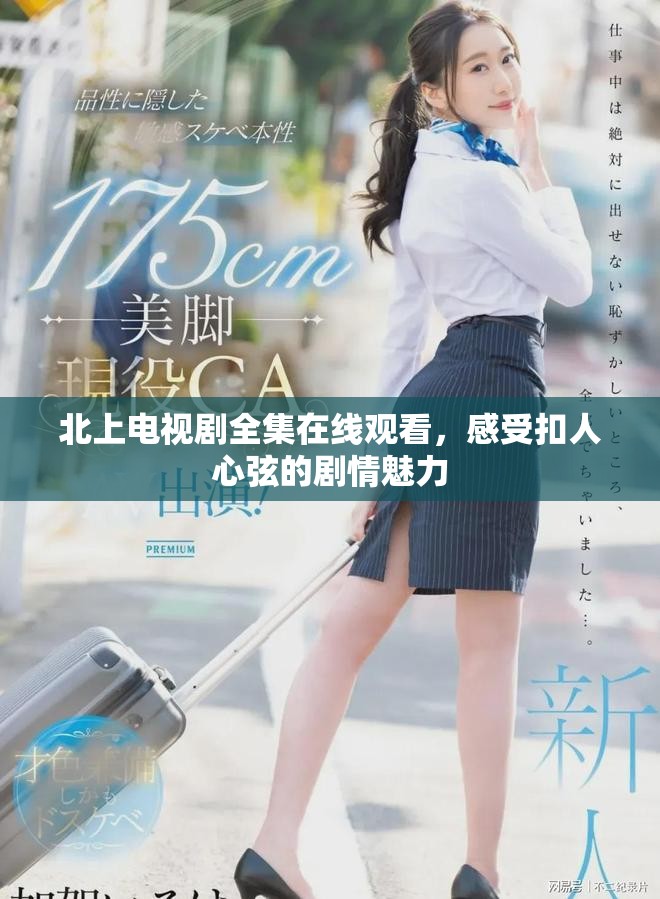 北上電視劇全集在線觀看，感受扣人心弦的劇情魅力