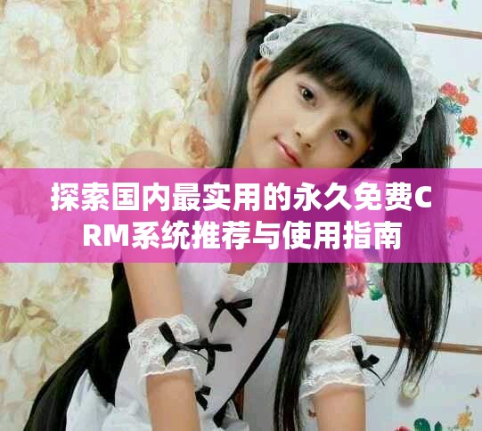 探索國內(nèi)最實(shí)用的永久免費(fèi)CRM系統(tǒng)推薦與使用指南