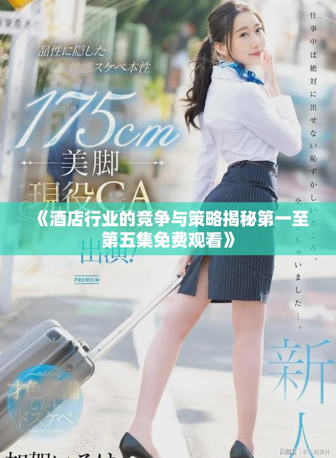 《酒店行業(yè)的競爭與策略揭秘第一至第五集免費觀看》