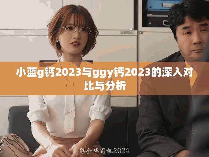 小藍(lán)g鈣2023與ggy鈣2023的深入對比與分析
