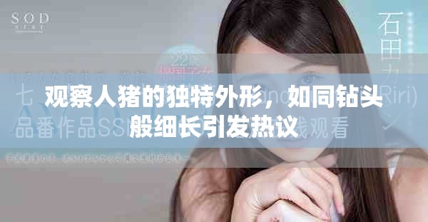 觀察人豬的獨特外形，如同鉆頭般細長引發(fā)熱議