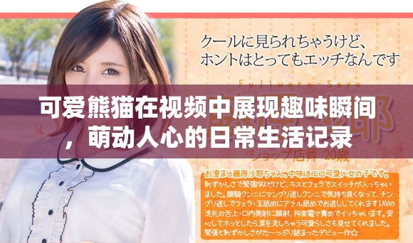 可愛熊貓在視頻中展現(xiàn)趣味瞬間，萌動人心的日常生活記錄