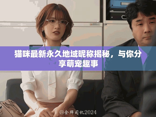 貓咪最新永久地域昵稱揭秘，與你分享萌寵趣事