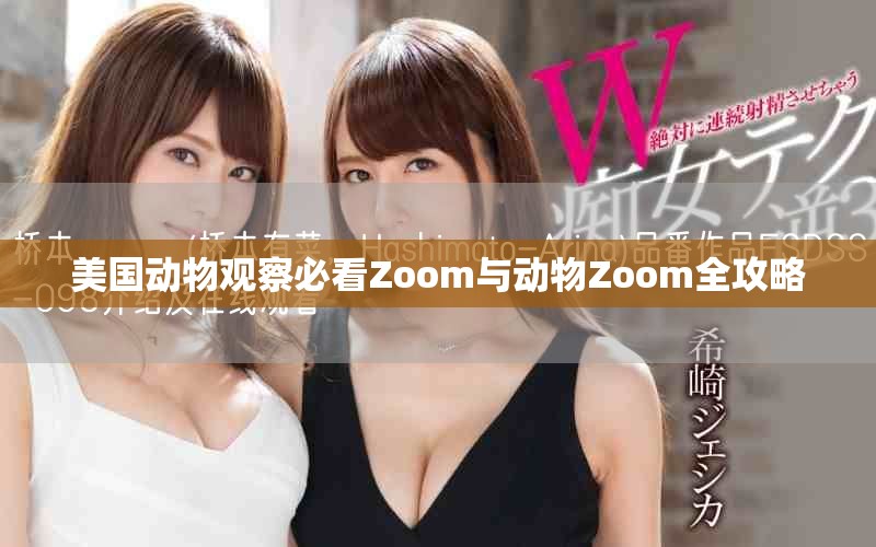美國動(dòng)物觀察必看Zoom與動(dòng)物Zoom全攻略