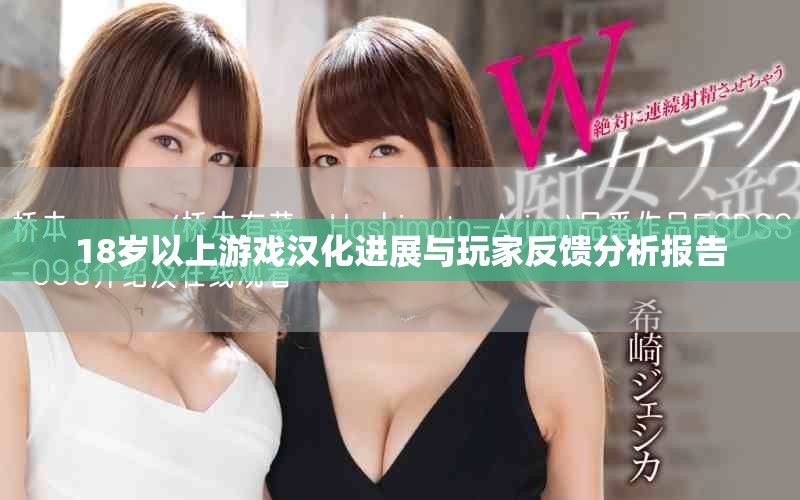 18歲以上游戲漢化進(jìn)展與玩家反饋分析報告