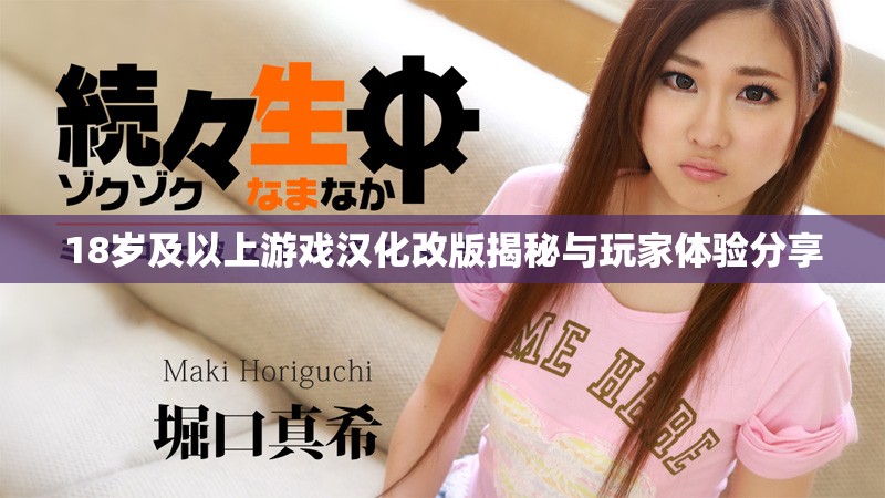 18歲及以上游戲漢化改版揭秘與玩家體驗(yàn)分享