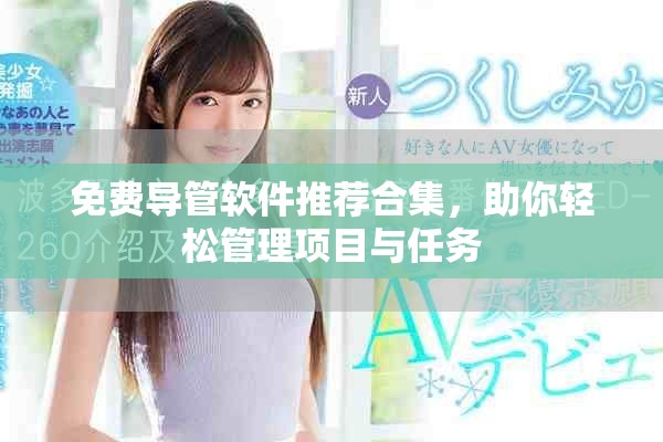 免費導管軟件推薦合集，助你輕松管理項目與任務