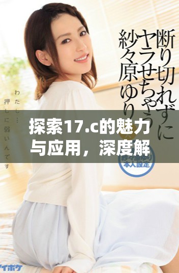 探索17.c的魅力與應(yīng)用，深度解析其功能與潛力
