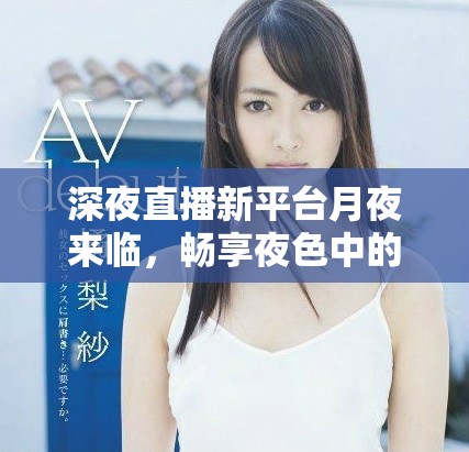 深夜直播新平臺月夜來臨，暢享夜色中的獨(dú)特體驗(yàn)與互動樂趣