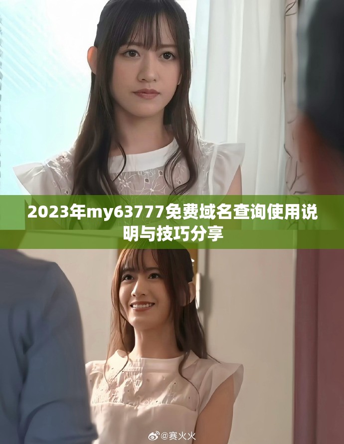 2023年my63777免費(fèi)域名查詢(xún)使用說(shuō)明與技巧分享